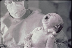 ������� �������� - ��� �����