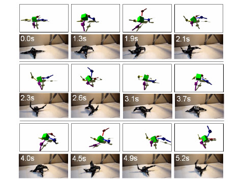 ����������� ������ � ��� ��������������� �����. �� ������� �������� ����� � ��������. �� ������ ����������� ������ ������ ������ ������������, ������� ���������� ����� ����� � ������ �� ����� ���� � ������ ������ (����������� Science).