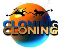 2 ����� 1997 ���� ���� ������������ CNN ����������� ������� �� �������� ������������ ���� �������.