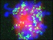 ���������� � ���������� ������, ��������� ��� ������� ������������ (���� Science).