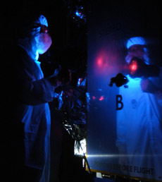 ��������� ����� ���������� � ������������� �������� ������������ ����������� ���������� �������� �� ������ � ���������� ���������, �� � � ���������������� � ��� �� ���� ������ (���� NASA/George Shelton).