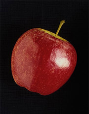 � �������� � �������� ����