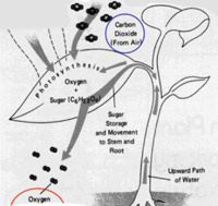 ���������� ��� �� �������, ����, ���������� �� ������, � ��������� ����, ����������� ��������, �������� �������� ������������� ������ � ������������ ��������. �� ������ �������� ������ ����� �������� ������� ������� �������, ���� � �� ���������� ��������� (����������� NASA Ames Research Center).