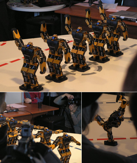 ���� MEMBRANA.