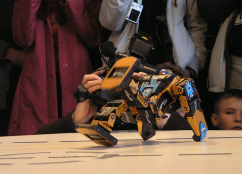 ���� MEMBRANA.