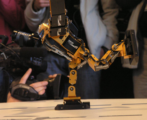 ���� MEMBRANA.