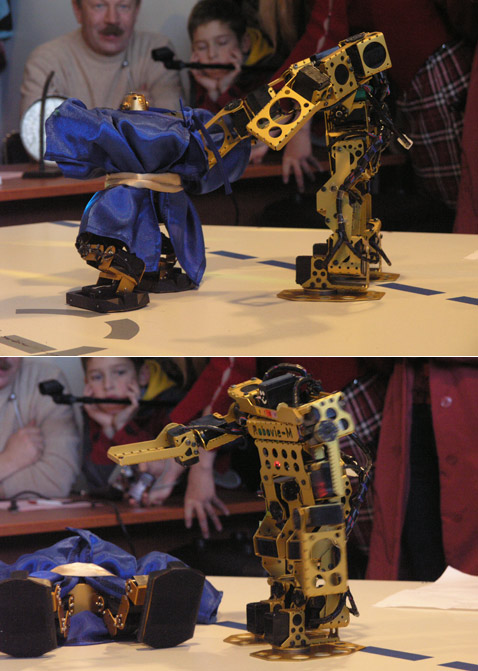 ���� MEMBRANA.