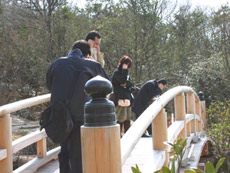 ��������� ��� Walk Project. � ����� ����������� � ��������� ������� ��������� (���� � ����� aist.go.jp).