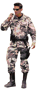 ������-�������� (����������� � ����� viewzone.com).