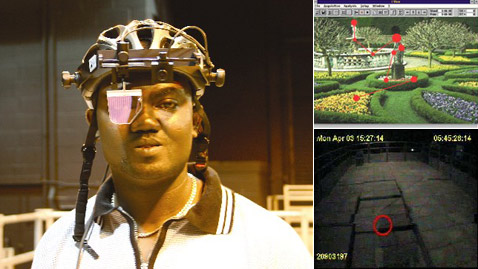 ��� ���������� ������ ������� ������� �������� (���� University College London).