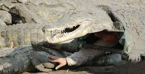   ,       ( National Geographic).