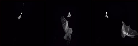      ,   ,   , ,  ( Jesse R. Barber, William E. Conner).