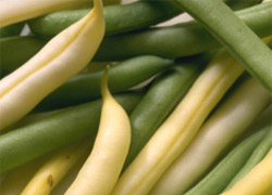 ������ ����� � �������� ���� � ��������