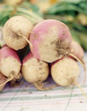 ���� �� ����������� �����