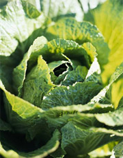 ������� ��������� � ����� � ����������� ����� ��� ������