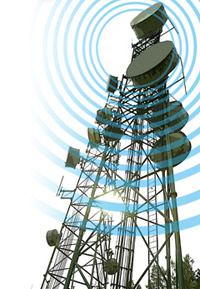 ���������������� ����������� �� ������ ����������, �� � ���������� ����������� ������� (����������� David Swann � ����� starbulletin.com).