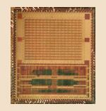 256-������������ "���������" ����� �������� � ������������ �� ����� ������� ��� ��������� ����������� (���� � ����� rapportincorporated.com).