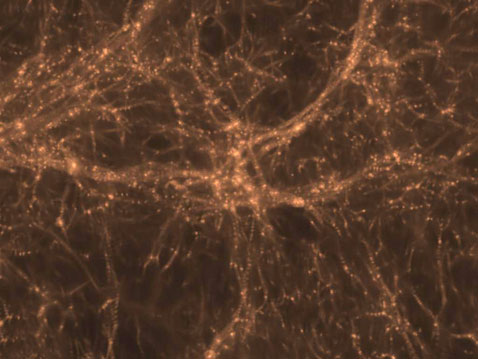 ������������� ����� ������� � ������� ���� 13,3 ��������� ��� �����, ����� 460 ��������� ��� ����� �������� ������. �����������, ��� ��������� ������� ������������� (����������� J. Diemand, M. Kuhlen, P. Madau).