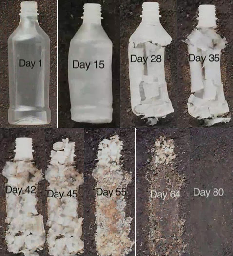 ��� ��� ���� �� ���� "�����������" ���� ��-��� ���� BIOTA (����������� � ����� biotaspringwater.com).