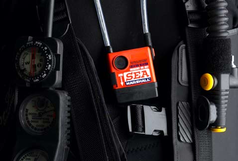 ������ ������������� ���������� � ��������� ��������.