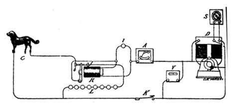 �����, ������������, ��� ���������� ������� ��������� ����� �� �������.