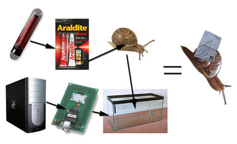 ����� RealSnailMail: RFID-��� ������������� ���������� � ��������, � ������ ���������� � �������� � RFID-��������, ������������ � ����������. �� ������ ����� ������-���������� (����������� � ����� boredomresearch.net).