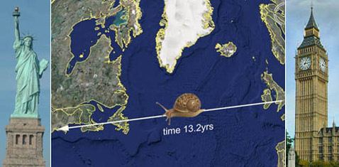 ��� ��������� ������-��������� ��������� �� �� ������ ������� �� ���-���� �� 13,2 ����. � RealSnailMail ��������������� ������� �� �� ������� (����������� � ����� boredomresearch.net).