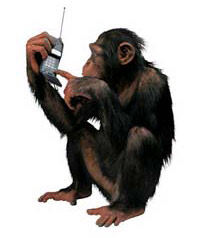 ��� � ����� �� � ���, ������� �������� (����������� � ����� flyingchimp.com).