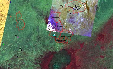 ����� �������������� ������ ������� � ���������. ������ ���� ��������� ���������� ������� (���� � ����� save-the-elephants.org).