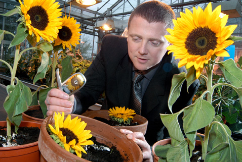 ���, ��� ��� � ���? �, ����������! (���� � ����� warwick.ac.uk).