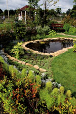 ��� �������� ����� �������� ���������� ������ ������������