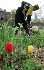 ��� ���������� ��������� ��� �������� ���� �����������