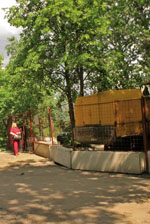 �� ������� - ���������� "�������" ��������