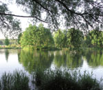 ������� ���� �� ����� ���������� ����������� � ������ ����� ���������� ��� ����� ���������������