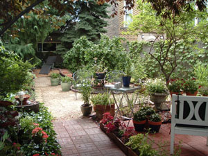 ����� ����������� ���� ������� � ��� ���������.