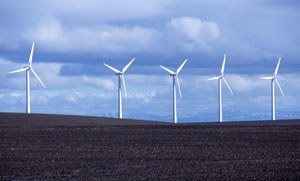 ���� ������������!