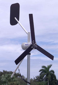 ������������ �������������� ��������� ������ �� �����. 