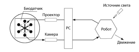 ����� ����������������� ��������� (����������� Klaus-Peter Zauner).