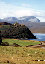 98%&nbsp;���������� ��������� - �������� ��������� - ����� � ��������� ������