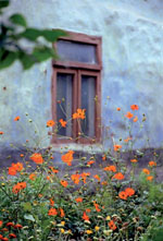 �������� - �������� ������, � ����������� � ������� ��������� ����� �� �����������