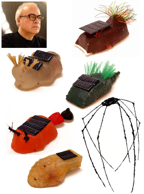 ������ ����� � ��������� �� ��� ����� �������: Acrorhinomorpho, Cerahetero, Bucinaderm, Bilurosequor, Araneax � Pendeopseudosaurus (���������� � ����� leonelmoura.com).