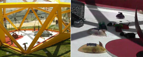 ��������� ���� � ���� ������� ���, �� ����� ����������� �������, ��� ������ ��������� �� ���� (���������� � ����� leonelmoura.com).