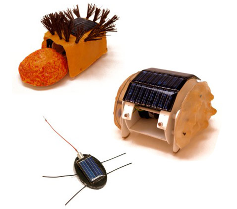 ��� �������, ���� �������� � ������� Procedofrons, Protopedis � Zoid � �������� ���������� (���������� � ����� leonelmoura.com).