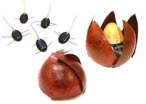 �������, ���������������� Zoid