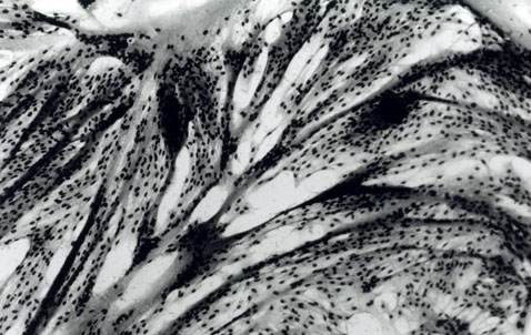       ,     .     (   umd.edu).