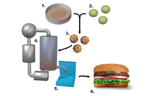        (   new-harvest.org).