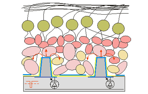 ���������� �������� ����� � ��������� (����������� � ����� stanford.edu).