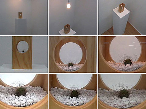          (   lauracinti.com).