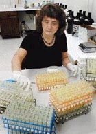 ������ ����� ������� �� ������� �������� � ������������� ����� (���� Orlin Wagner/AP).