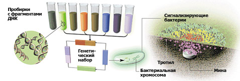    .   ""      .    . ,      (      )     .      (   sciam.com).